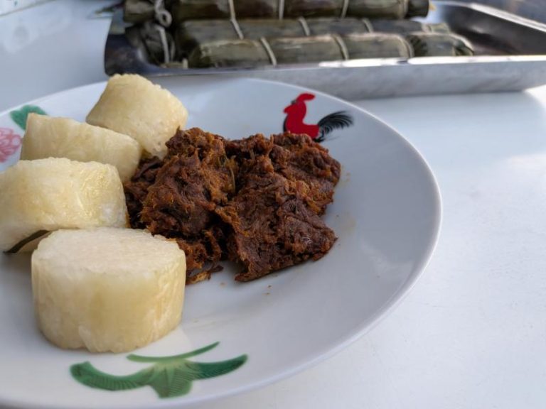 No Bamboo, No Worries – Easy Lemang in the Thermocook